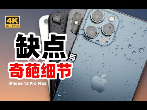 【4K】99%的人不知道iPhone 12 Pro Max的细节变化！全网最详细硬核评测特大杯！【老张】