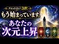 【タロット占い3択】2026年世界分裂の前に…もう始まっています。あなたの次元上昇