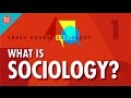 What Is Sociology?: Crash Course Sociology #1