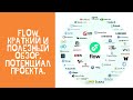 Flow обзор краткий и полезный. Смотреть всем!