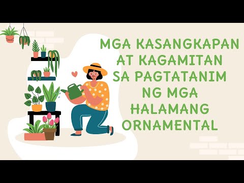 Video: Pag-aalaga at pagtatanim ng mga rosas. Mga rekomendasyon para sa mga hardinero