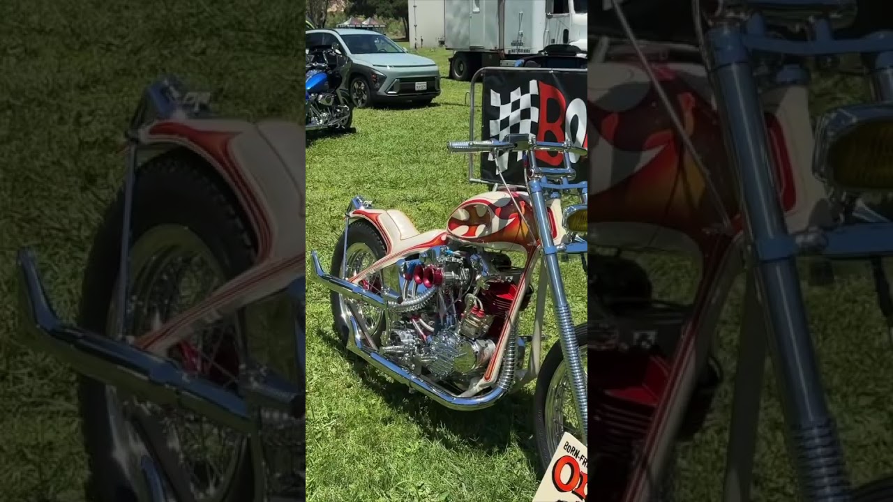 Custom CHOPPER Harley-Davidson at Born-Free 