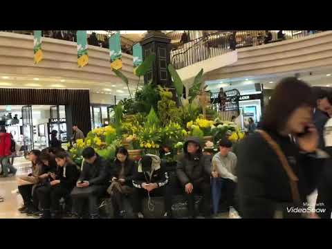plaza mua sắm 2022 05-Du Lịc.Đi khu mua sắm AK PLAZA mua vali chuẩn bị cho chuyến du lịch đảo jeju