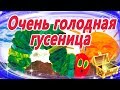 Очень голодная гусеница. Мультфильм для самых маленьких. Сказка на ночь. Мультфильмы для малышей