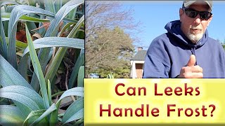 Can Leeks Handle Frost?