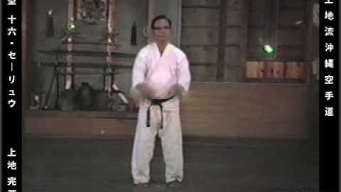 沖縄空手道 SEIRYU by UECHI KANEI SENSEI (1981)