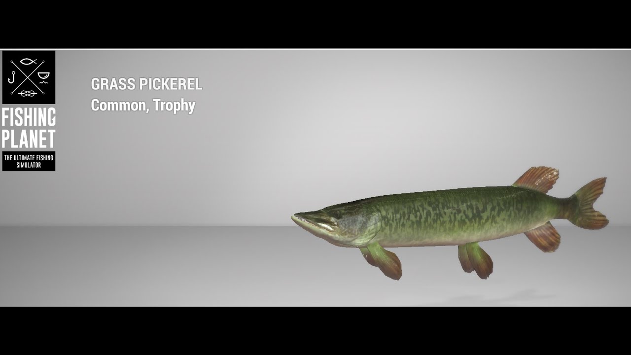 Fishing Mudwater River Trophy Grass Pickerel Float YouTube