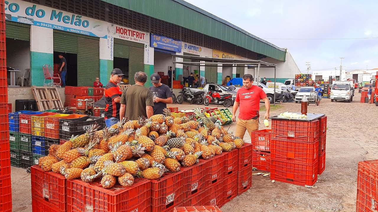 CEASA DE TIANGUÁ CEARÁ MUITA FARTURA 