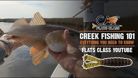 Creek Fishing 101 (Everything You Need To Know) - Flats Class