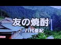 【平成歌謡 八代亜紀特集】 友の焼酎(さけ) 八代亜紀 2002 ~cover ♪AKIRA