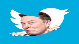 Elon Musk Buys Twitter Meltdown Compilation