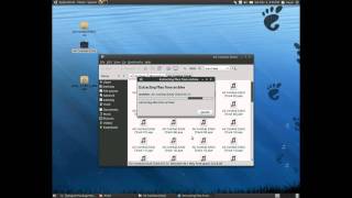 PS1 Emulator on Ubuntu 10.10