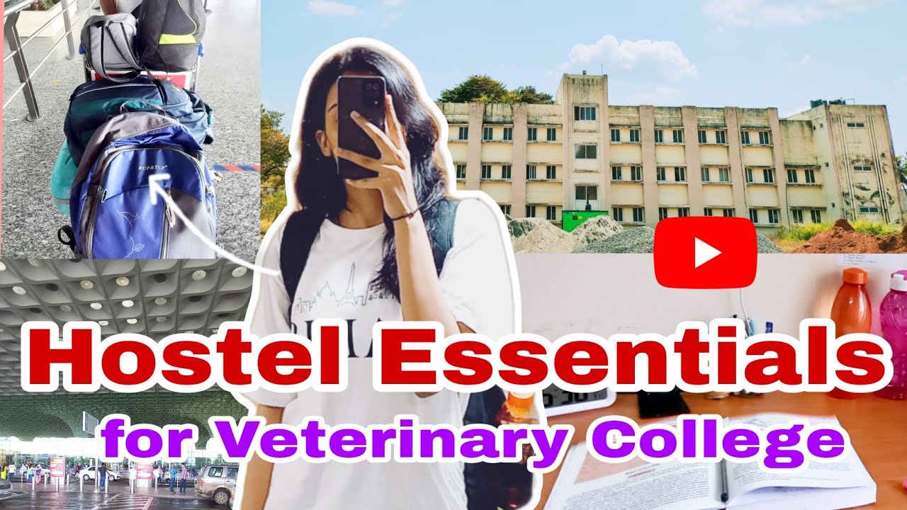 hostel-essentials-complete-list-of-all-the-essential-things-required