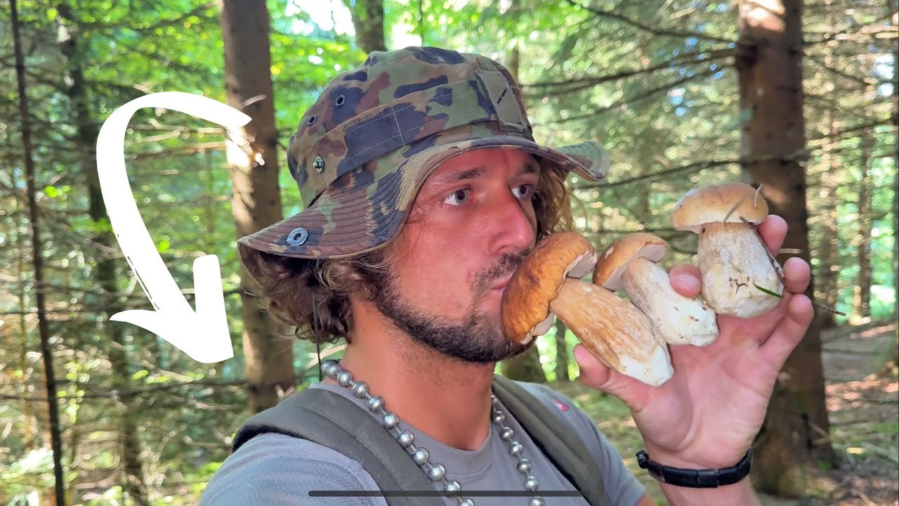 Mon Astuce Ultime de Champignoneur