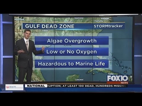 Gulf of Mexico "Dead Zone"