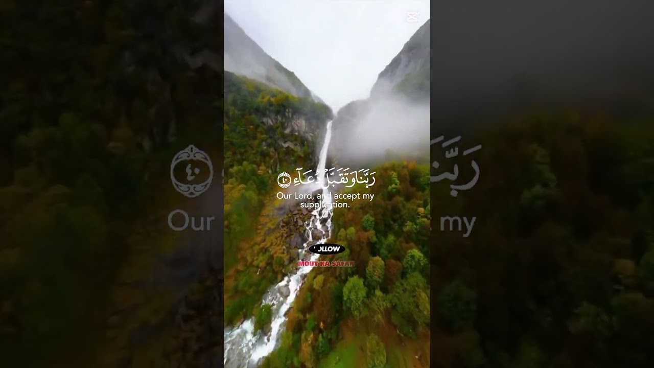 Beautiful Quran Tilawat 💖 | Viral Quran #islamicvideo #shorts