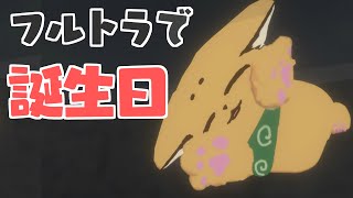 今日は犬の誕生日