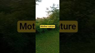 nature... power of nature. #nature #naturewalk #green #serenity