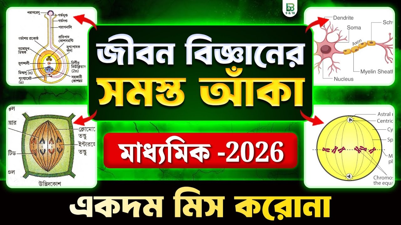 জীবন বিজ্ঞানের  সমস্ত গুরুত্বপূর্ণ আঁকা - মাধ্যমিক ২০২৬ | Life Science All Diagrams, Class 10 |WBBSE