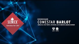 0200Ho12608 Comestar Barlot Feb 2023