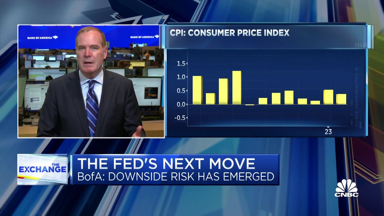 Read more about the article BofA’s Michael Gapen expects a ‘dovish 25 bps hike’ and maintained balance sheet runoff – CNBC Television