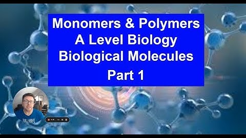 Part 1 Monomers & Polymers