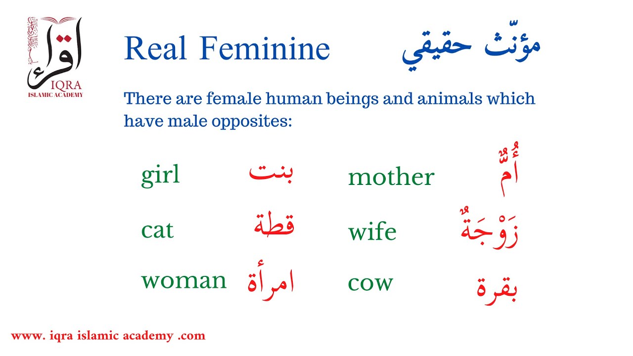 LESSON 11 IDENTIFY FEMININE NOUNS IN ARABIC MUANNAS LEARN ARABIC THE LESSON 11 IDENTIFY FEMININE NOUNS IN ARABIC MUANNAS LEARN ARABIC THE