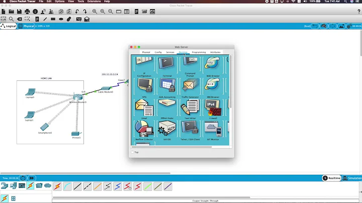 Design a small LAN network connect to Web Server and DNS Server