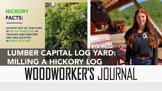 Hickory Lumber, Growing in Popularity by WoodworkersJournal 5,381 views 9 months ago 2 minutes, 56 seconds