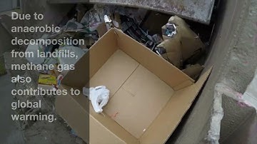 Loss Depletion - 2023 - by Jonah Brucker-Cohen