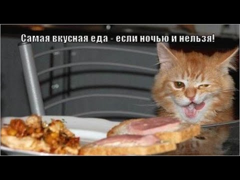 Худеем в тесте!