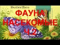 Фауна. Насекомые ч. 2