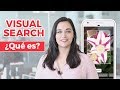 Visual Search, ¿qué es? - ¡Mejora tu Ecommerce!