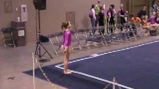 Emily's Meet - CGA