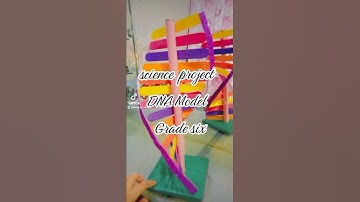 DNA Model Science project Grade 6 #nationalacademy #school#activity