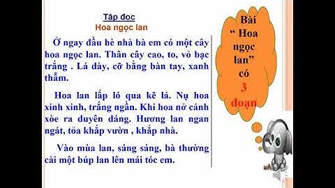 Tập Đọc: Hoa Ngọc Lan - Lớp 1