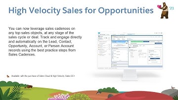 Sales: High Velocity Sales for Opportunities