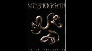 Meshuggah - Disenchantment (﴾Ƨlow﴿)