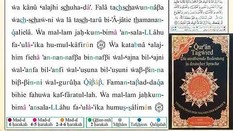 ختمة من مصحف التجويد باللغة الألمانية الصفحة رقم 115