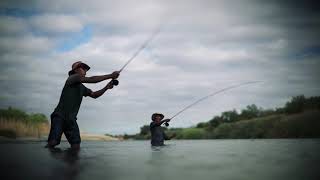 Quiver Tree Route- Northern Cape