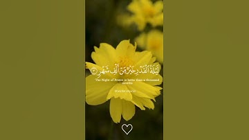 سورة القدر القارى ماهر المعيقلي || قرآن كريم #قران_كريم #اكسبلور #duet #القران #تلاوة_خاشعة