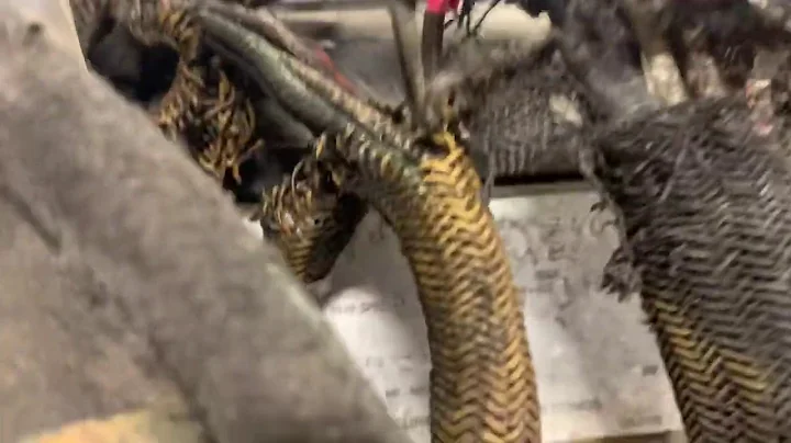 91920 5EK 550 HP CAT