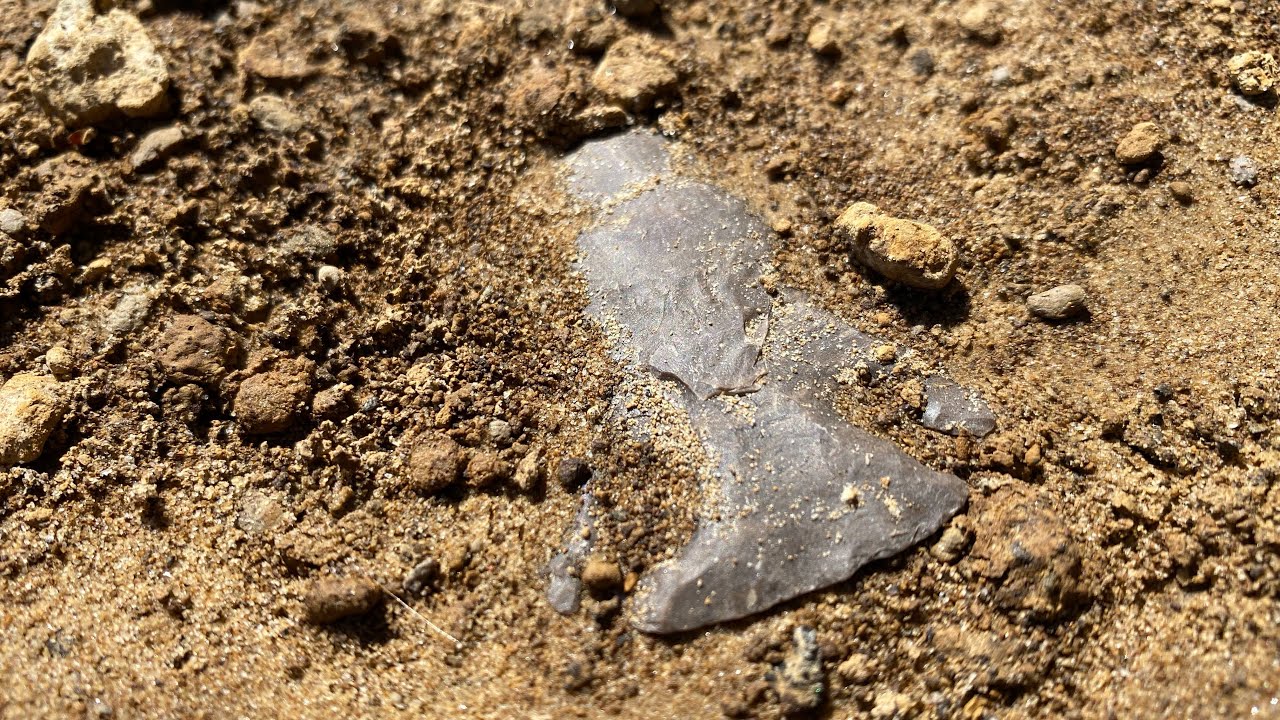 Lost for 9,000 years and finally found! Finds like this don't happen often.