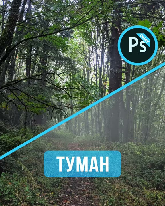 Как снять туман красиво? Советы опытного фотографа