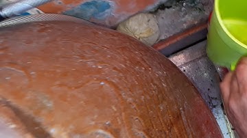 Lần đầu tiên thấy cá sặc đẻ trứng nở thành hàng nghìn cá con.