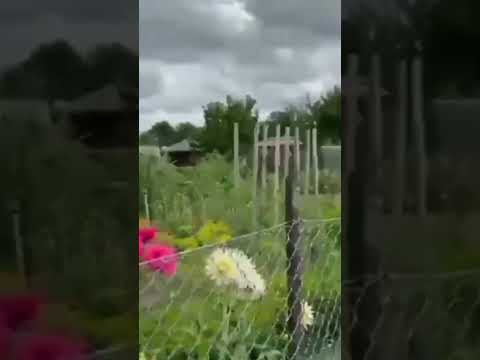 قصة بنت مع الحوقلة 2000 مرة تقريبا يوميا والامنيات التي تحققت لها بفضل الله الحوقله 