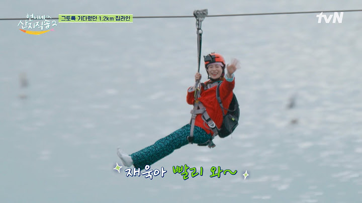 드디어 막내들 소원! 짚라인을 타다~ 그 아래서 덜덜 떠는 정아&준면ㅋㅋ🪂 #유료광고포함 #언니네산지직송2 EP.13 | tvN 250706 방송