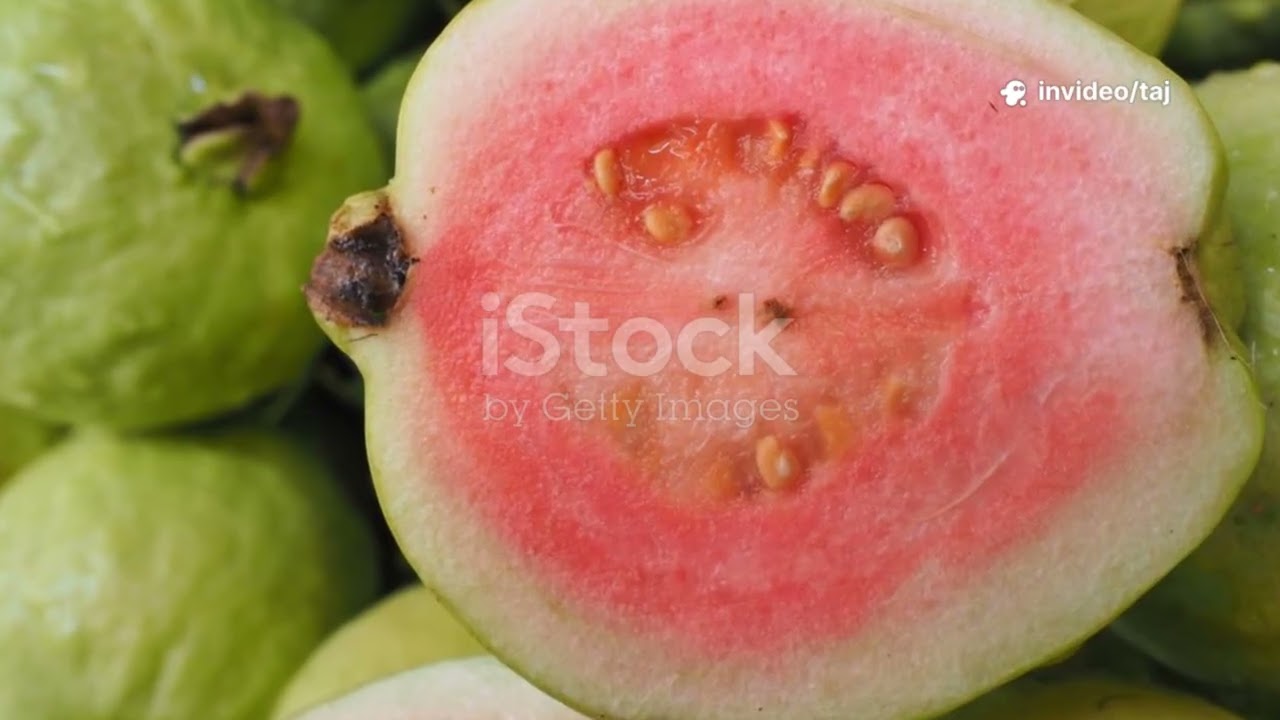 Vitamin C Fruits in Southeast Asia | Healthy Body, Healthy Nature | Easy English Learning 