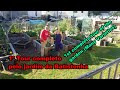 1º Tour completo pelos Canteiros da Batistenha (Muitas Variedades) / 1st complete tour of the garden