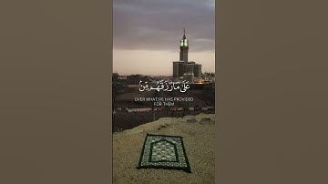 القرآن الكريم - سورة الحج  - الآية [ 28 ] القارئ - عبدالرحمن مسعد